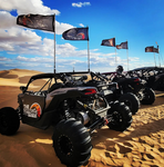 The Offroad Division Whip Flags